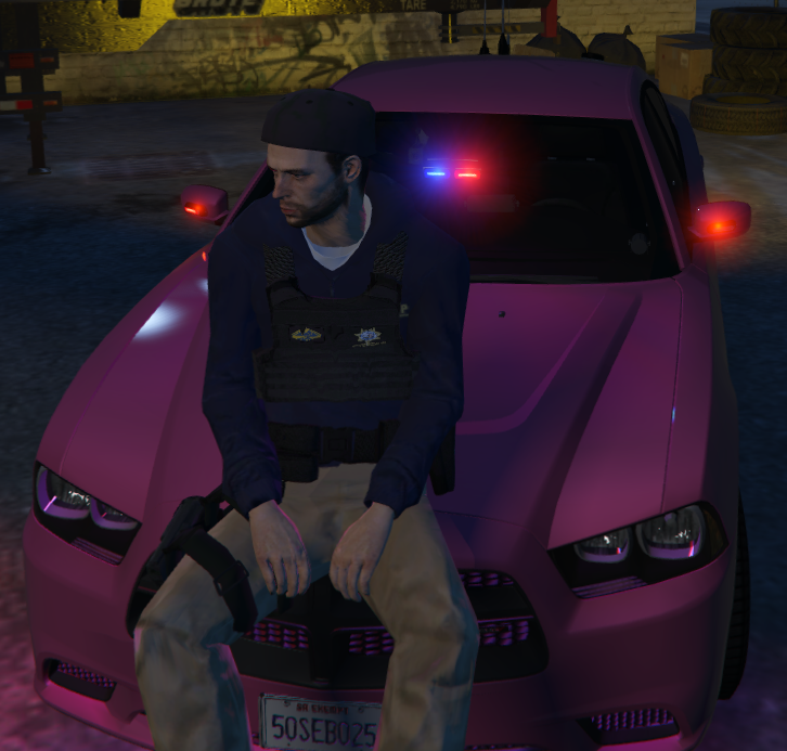 Pink Charger.png