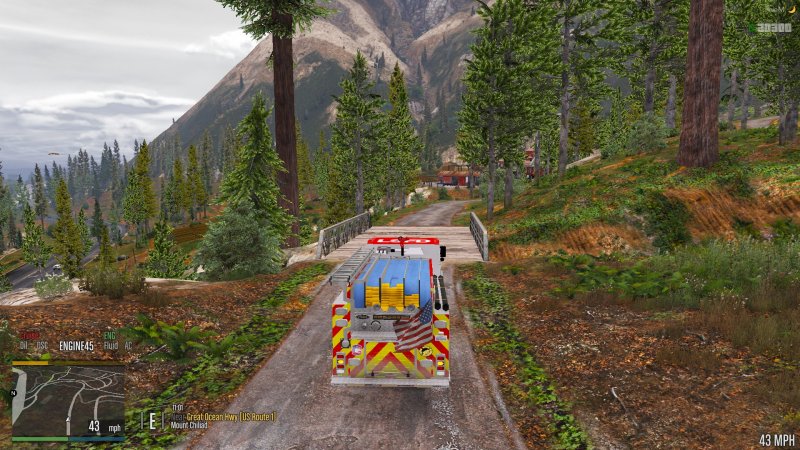 Responding to a MVA in the Forrest