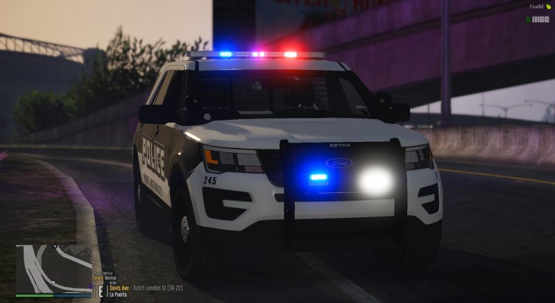 LSPD on scene.jpg