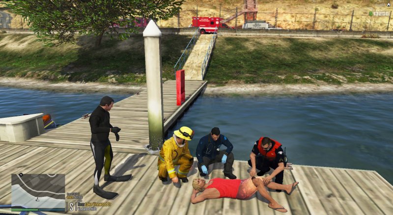 Drowning victim saved