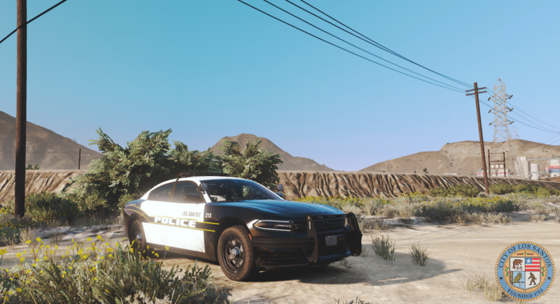 '18 Charger | Sandy Shores