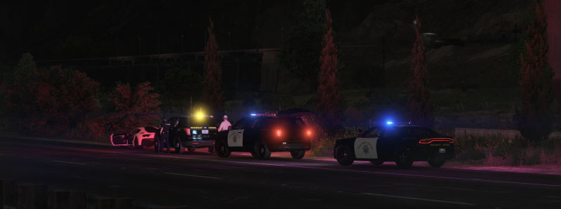 SAHP DUI/K9 Traffic Stop