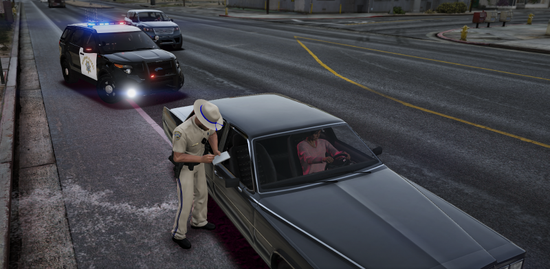 Traffic Stop