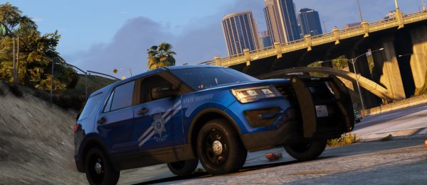 dps4.jpg
