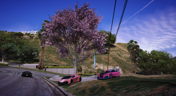 Cherry Blossom Super cars