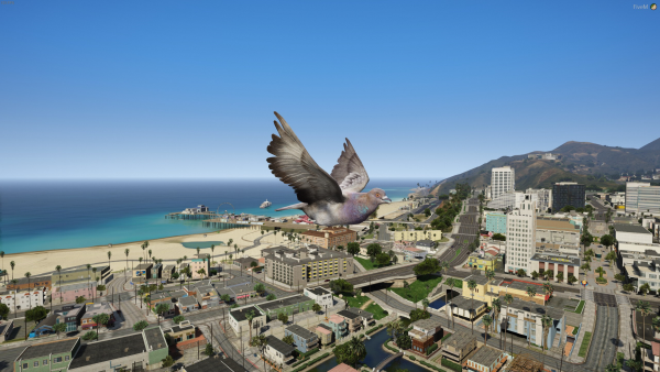 City View out as a bird