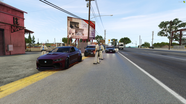 Pulled over in Paleto