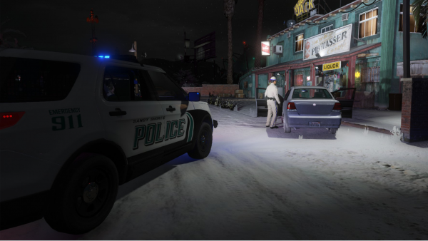 Sandy Shores PD