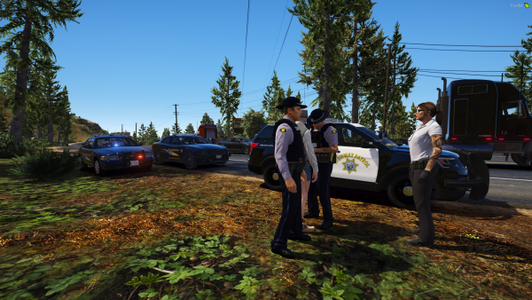 Scene in paleto