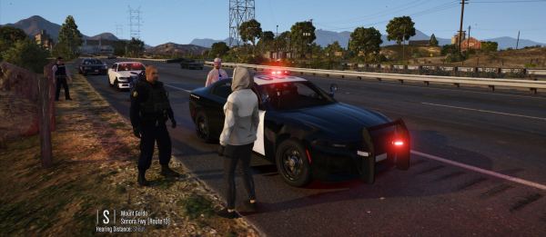 Traffic stop