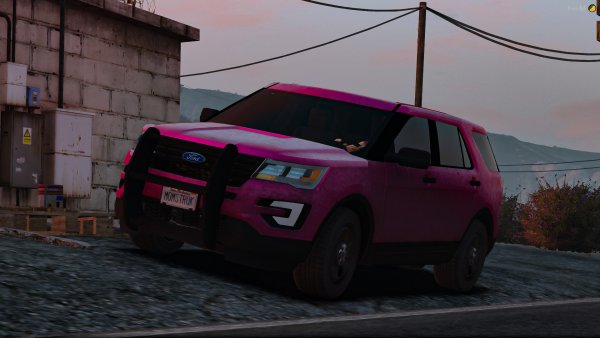 Pink explorer