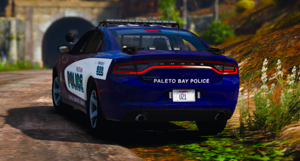 PALETO_1_DOJ.png