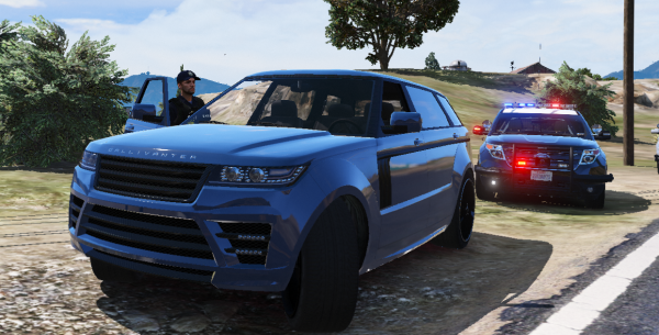 Traffic Stop