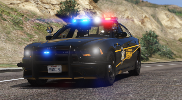 LCSO_4_DOJ.png