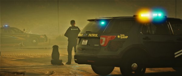DPS K9 "Elbe" watching on scene.