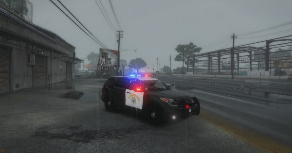 NEW 2.jpg