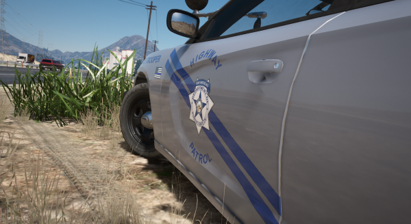 DPS1