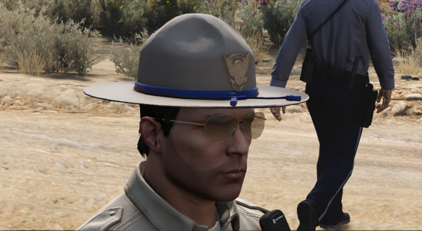 SAHP_4_DOJ.png