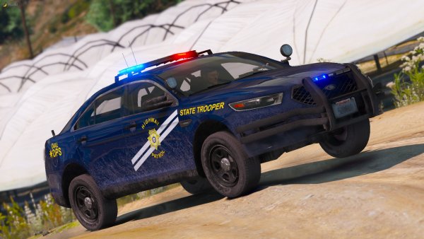 Code 6 In The Area.jpg