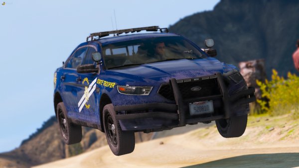 She Flies Too!.jpg