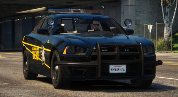 LCSO_1_doj.png