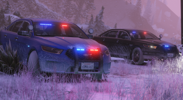 SNOW_5_DOJ.png