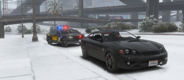 LCSO Taurus out in the Snow