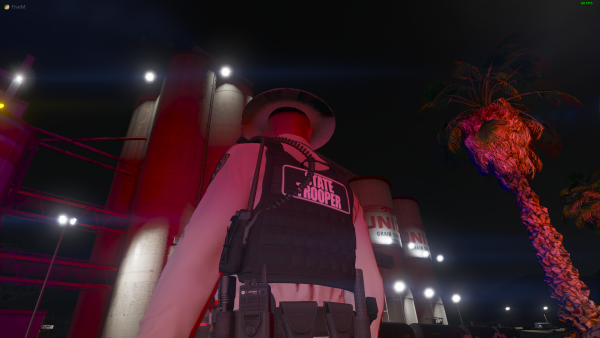 FiveM 1_7_2021 11_28_32 PM.png