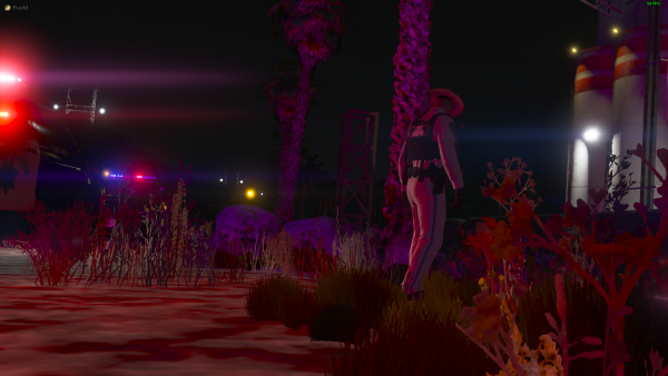 FiveM 1_7_2021 11_14_35 PM.png
