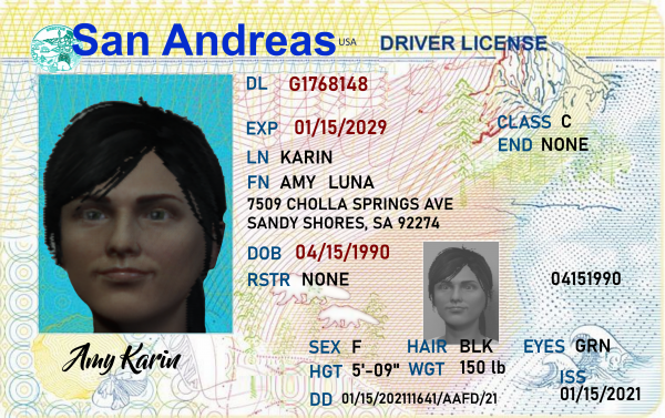 Amy_Karin_SA_Driver's_License.png