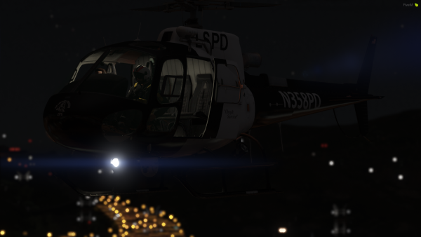 LSPD Air 21