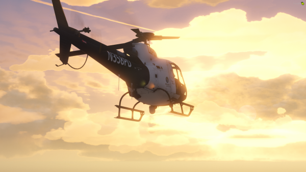 LSPD Air 21