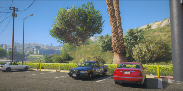 Vinewood PD