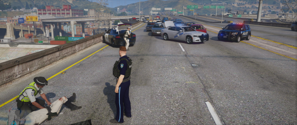 Officer down!