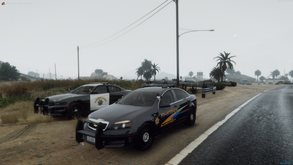 FiveM - Department of Justice Role-Play Community _ Server X _ Private _ DOJRP.com 7_9_2021 8_56_36 AM.png