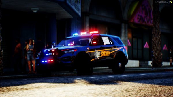 LCSO In Action.jpg