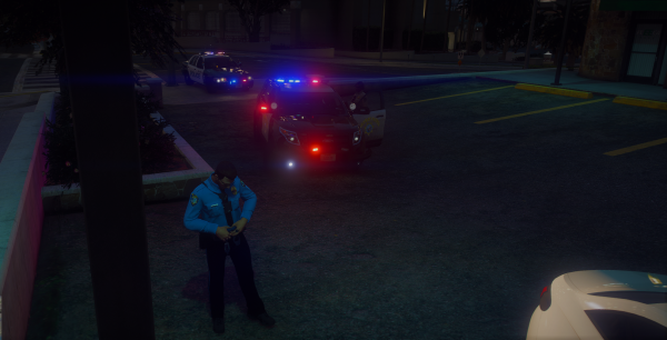 Assisting a traffic stop