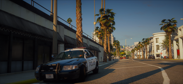 Patrolling the shopping district