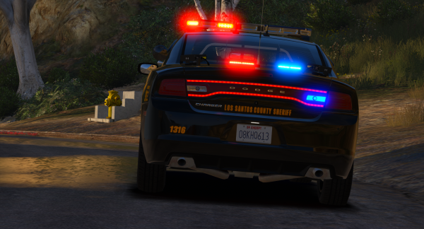 LCSO14CHARGER_4_DOJRP.png