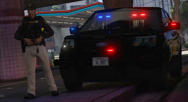 LCSO In Service