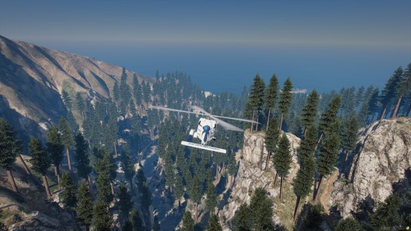 Over the Forest
