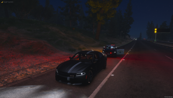 Traffic stop RT13.png