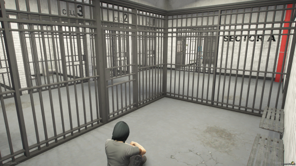 Prison for racing.png