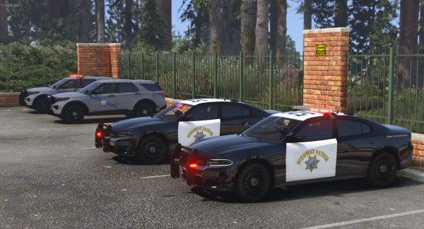 DPS 2020 Explorers and SAHP AWD Charger.png