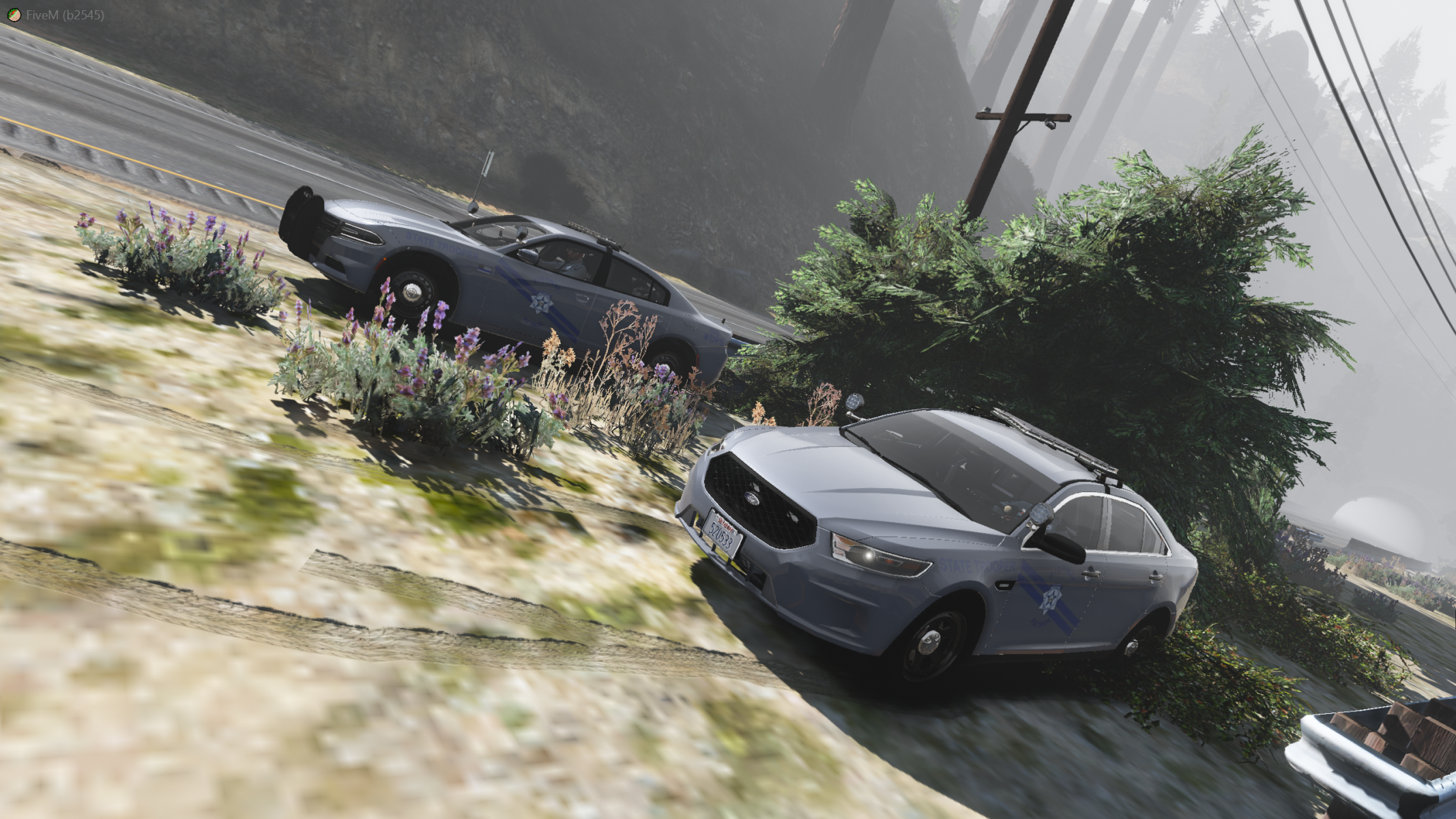 FiveM®_by_Cfx.re_4_9_2022_10_24_40_PM.png