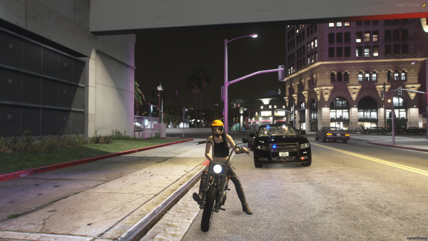 Traffic stop LS 1.png