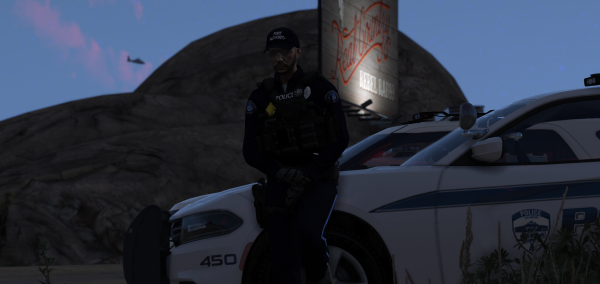 DOJRP-LSPD-PA-2.png