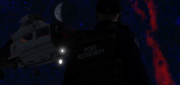 DOJRP-LSPD-PA-4.png