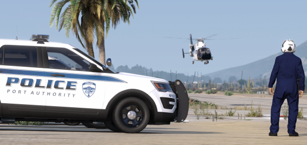 DOJRP-LSPD-PA-5.png