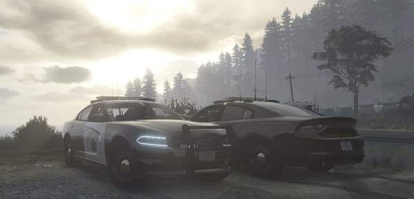 Another foggy morning in Paleto